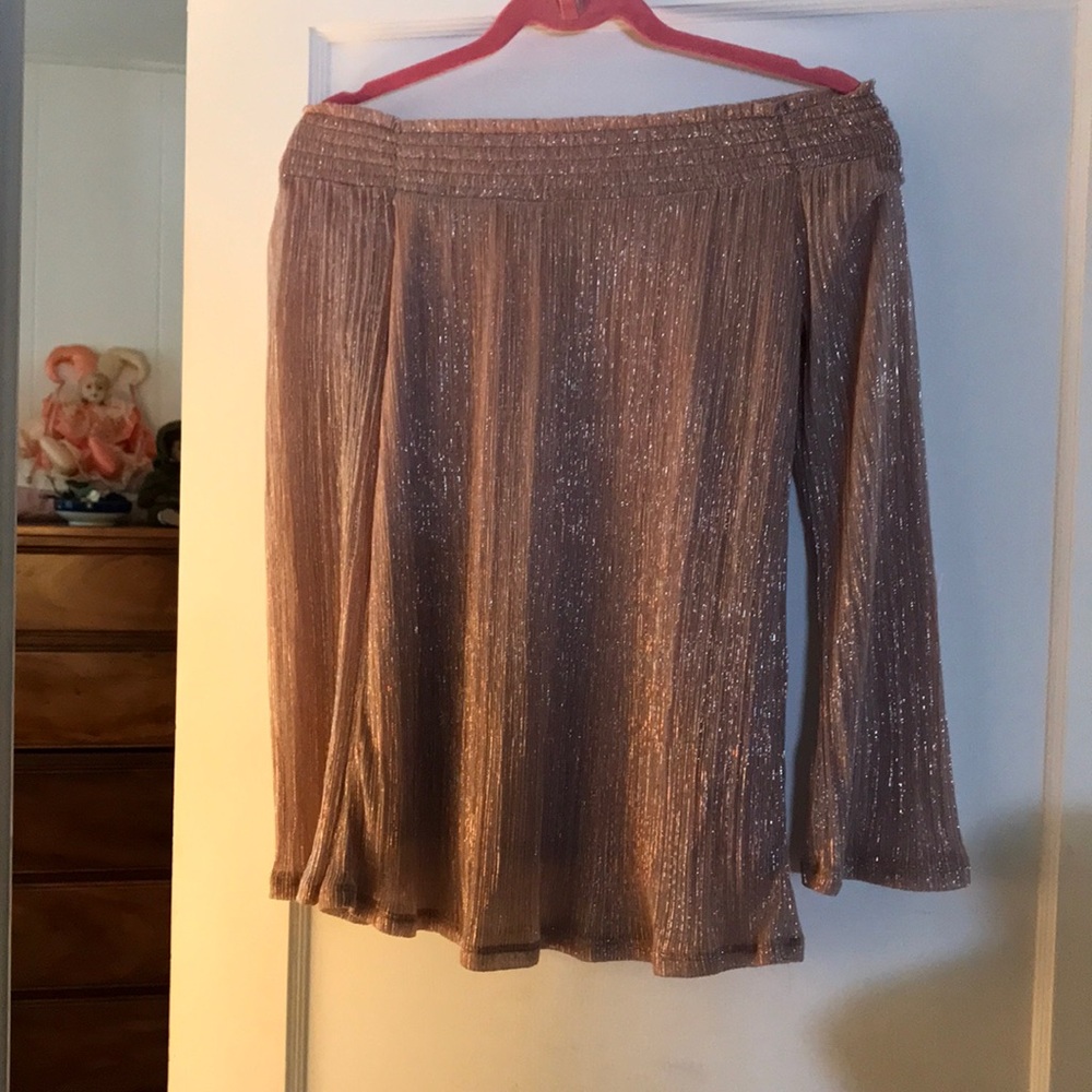 Pretty Evening Wear Off the Shoulder Blouse